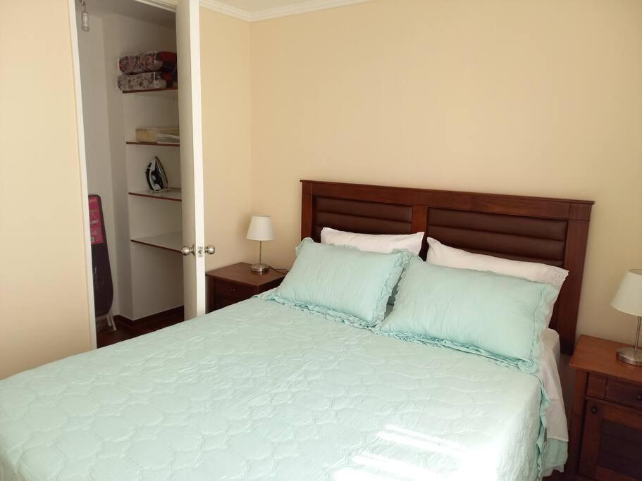 Apartamento Lindo Y Acogedor Depto En El Centro De La Ciudad Santiago